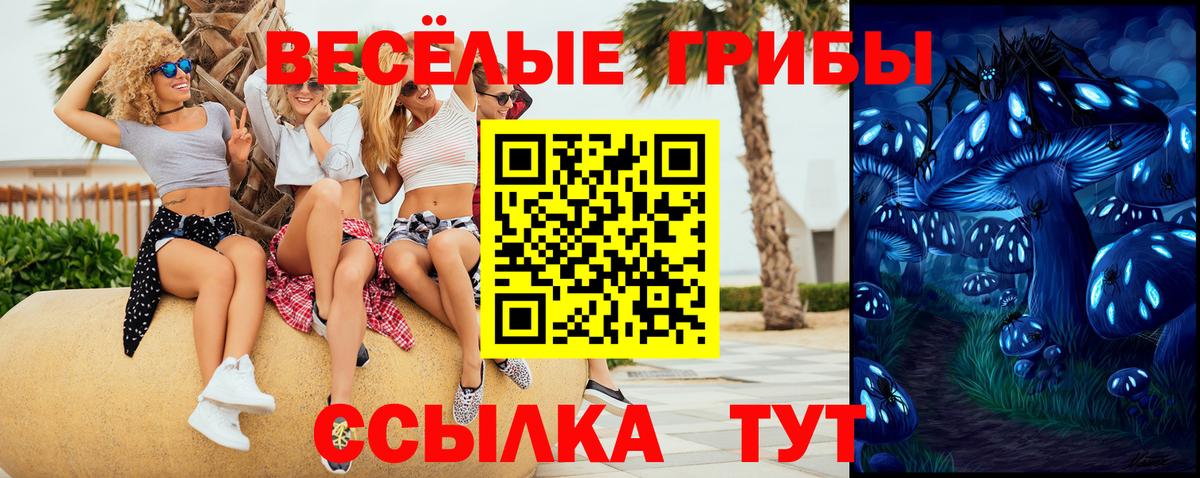 Галлюциногенные грибы мицелий Скопин