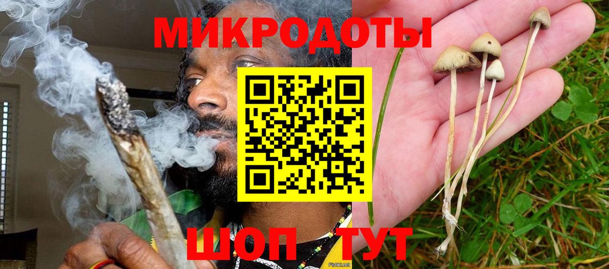 Скопин  Псилоцибиновые грибы прущие грибы  Вход с VPN 